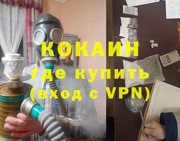 мяу мяу мука Няндома