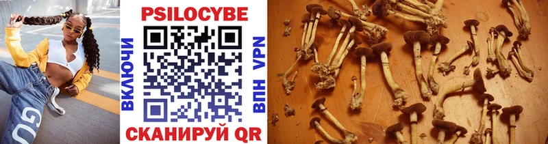 Псилоцибиновые грибы Magic Shrooms  Первоуральск 
