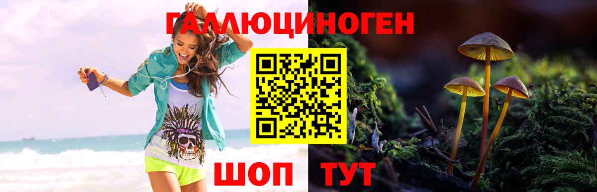 Первоуральск  Галлюциногенные грибы прущие грибы  Вход с VPN  Псилоцибиновые грибы Magic Shrooms 